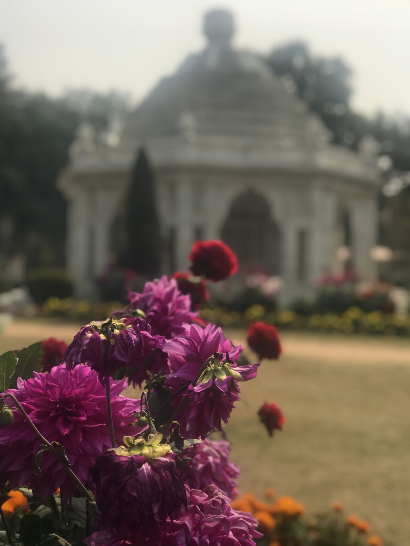 Apple iPhone 7 Plus sample photo. Temple, flower, yoga photography