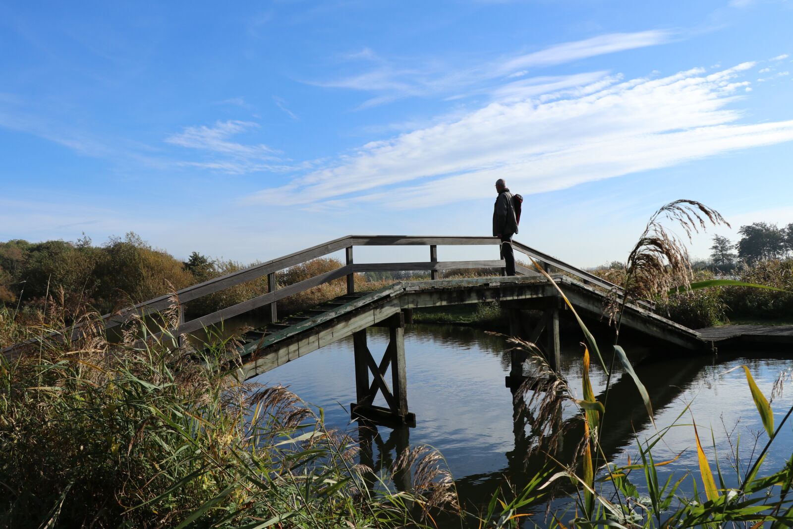 Canon EF-S 18-135mm F3.5-5.6 IS USM sample photo. Nature, landscape, water photography