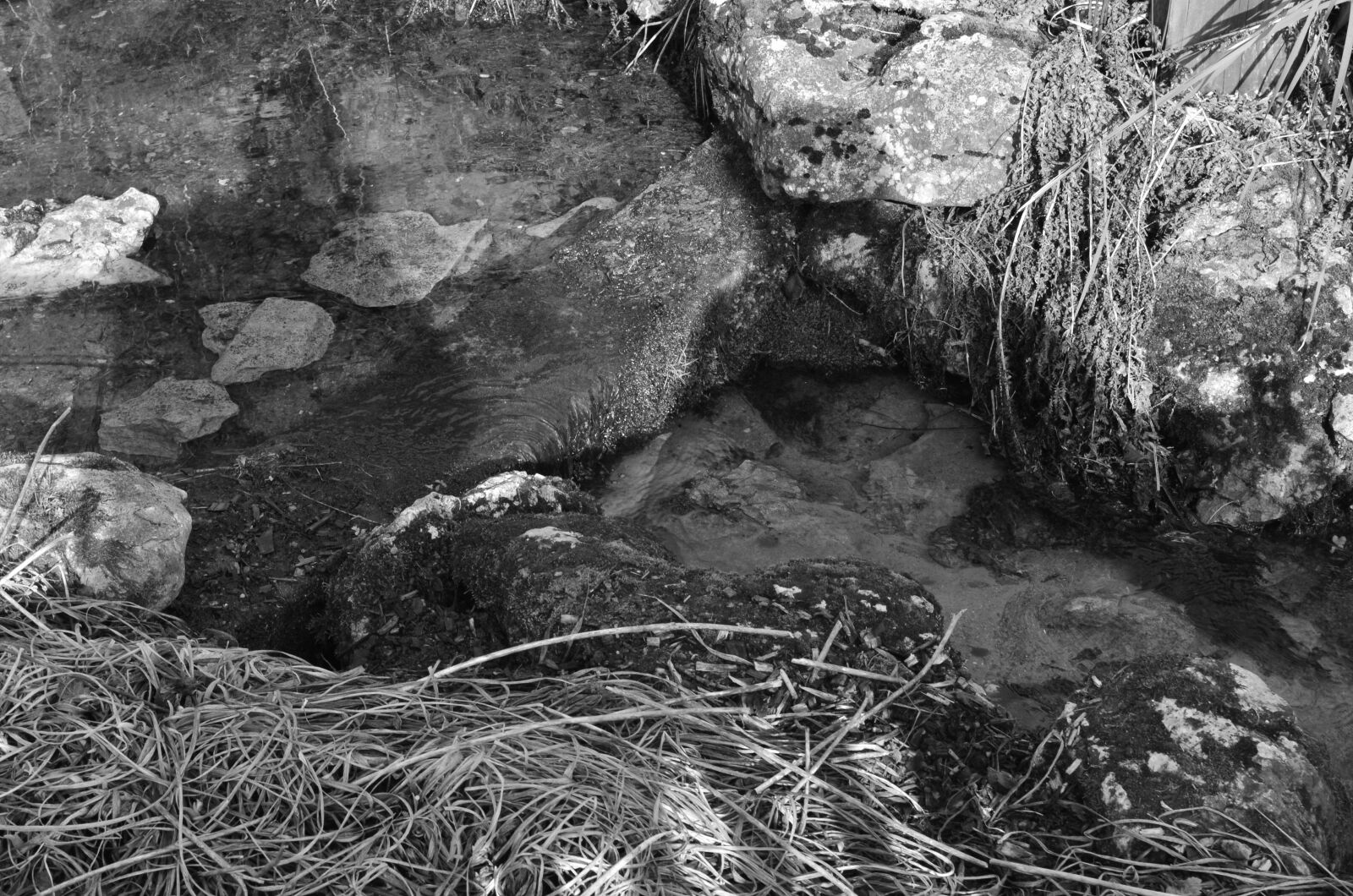 Nikon D5100 sample photo. Black, and, white, monochrome photography