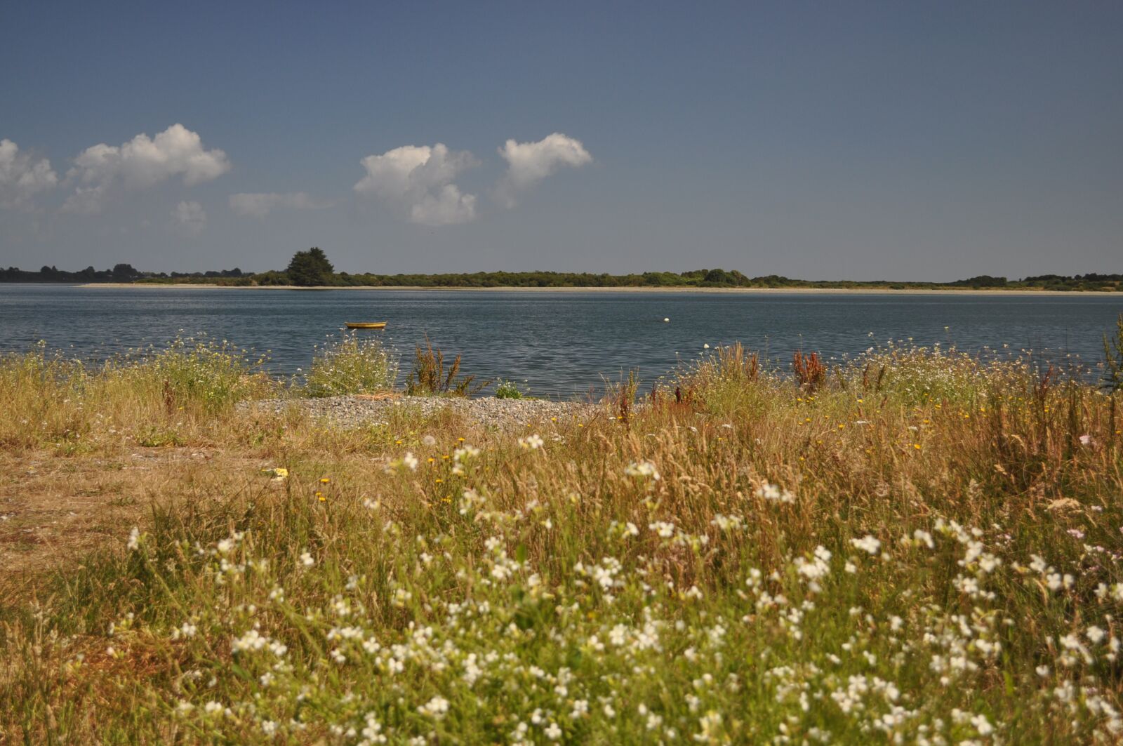 Nikon D5000 sample photo. Flowers, nature, landscape photography