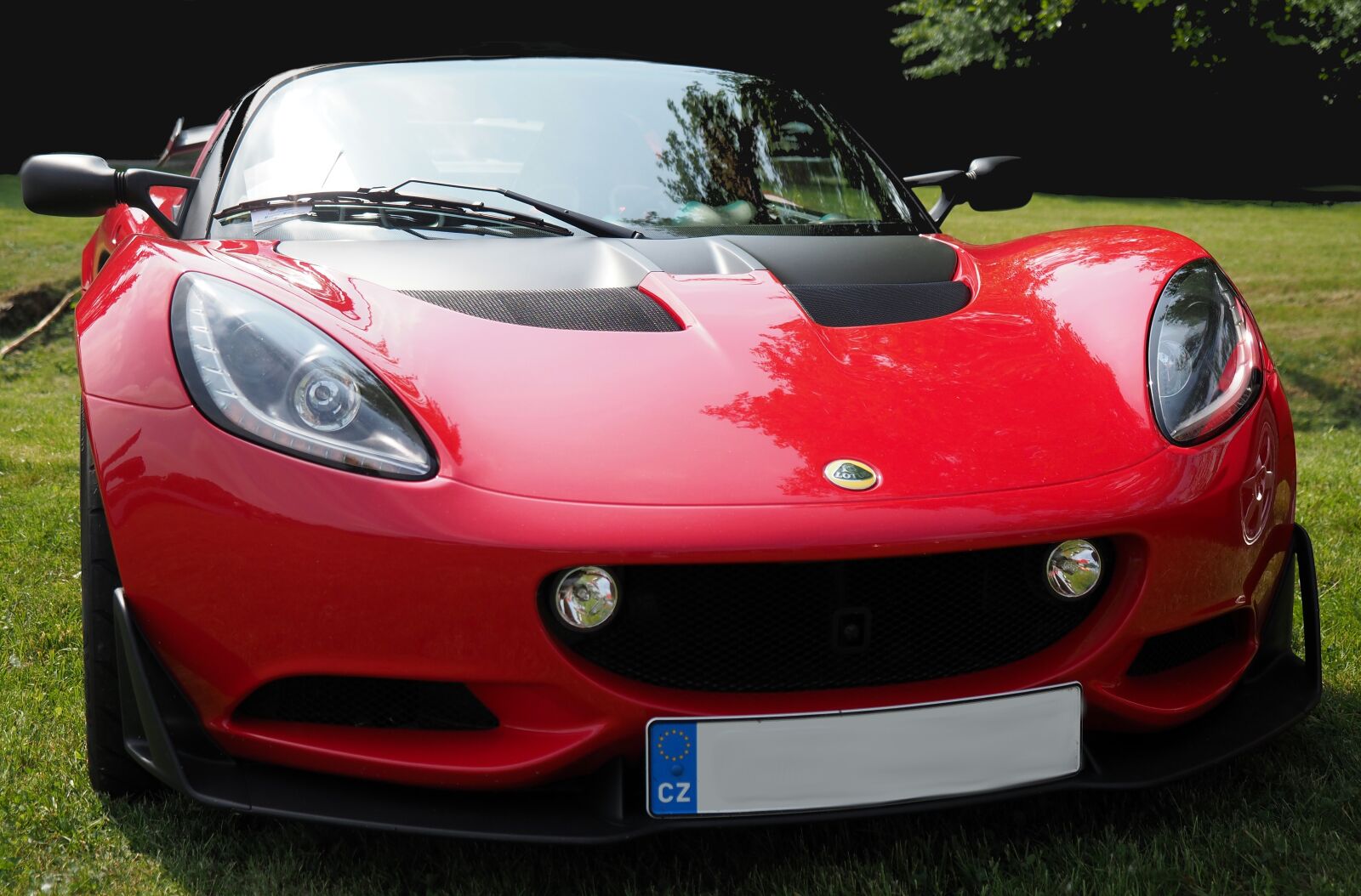 Olympus OM-D E-M1 Mark II + Olympus M.Zuiko Digital ED 12-40mm F2.8 Pro sample photo. Automobile, transport, lotus photography