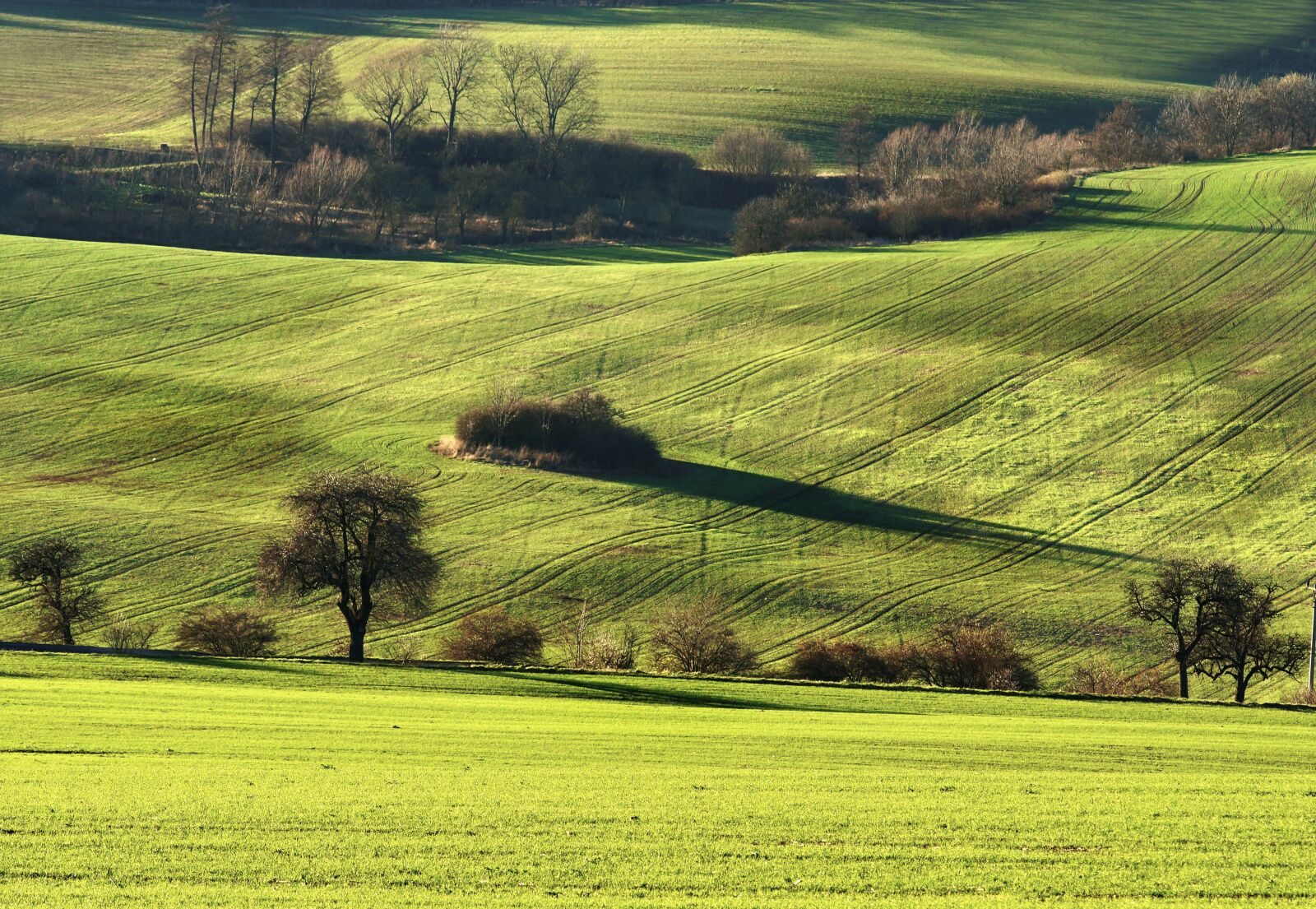 Sony SLT-A65 (SLT-A65V) + Minolta AF 200mm F2.8 HS-APO G sample photo. Landscape, field, trees photography