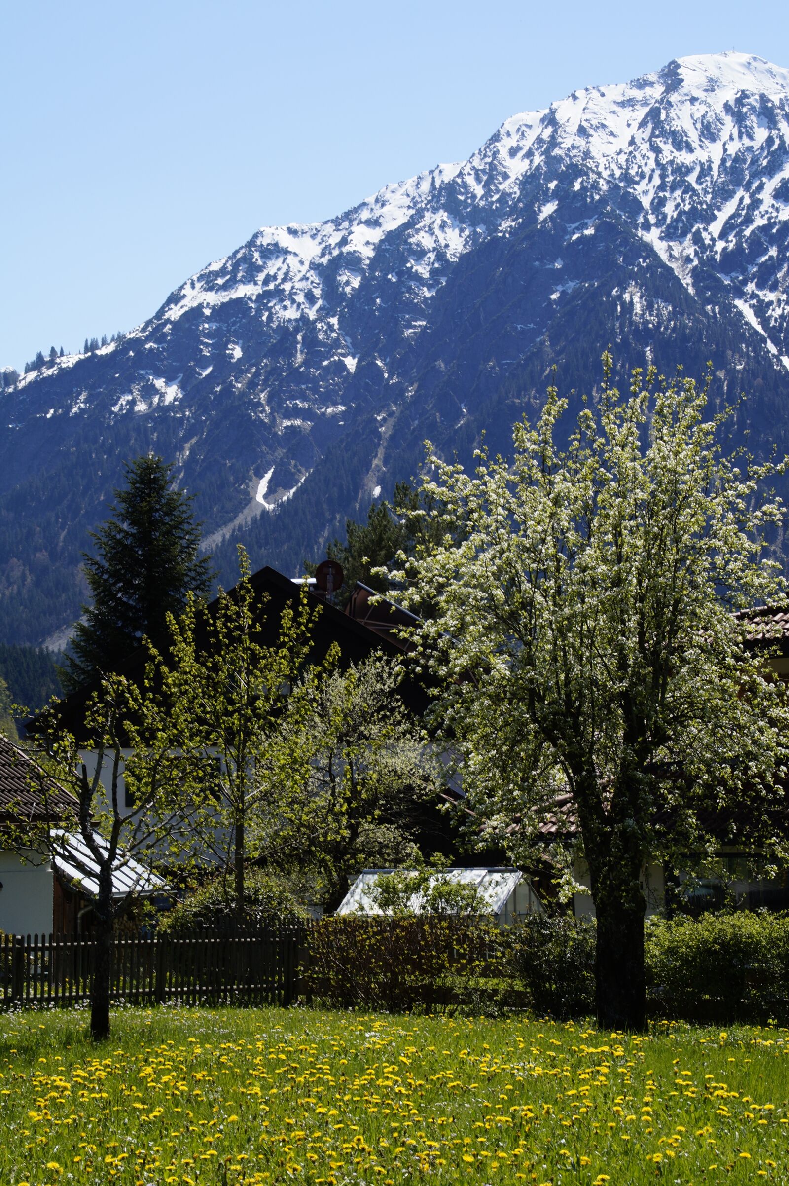 Sony SLT-A58 sample photo. Alpine, allgäu, spring photography