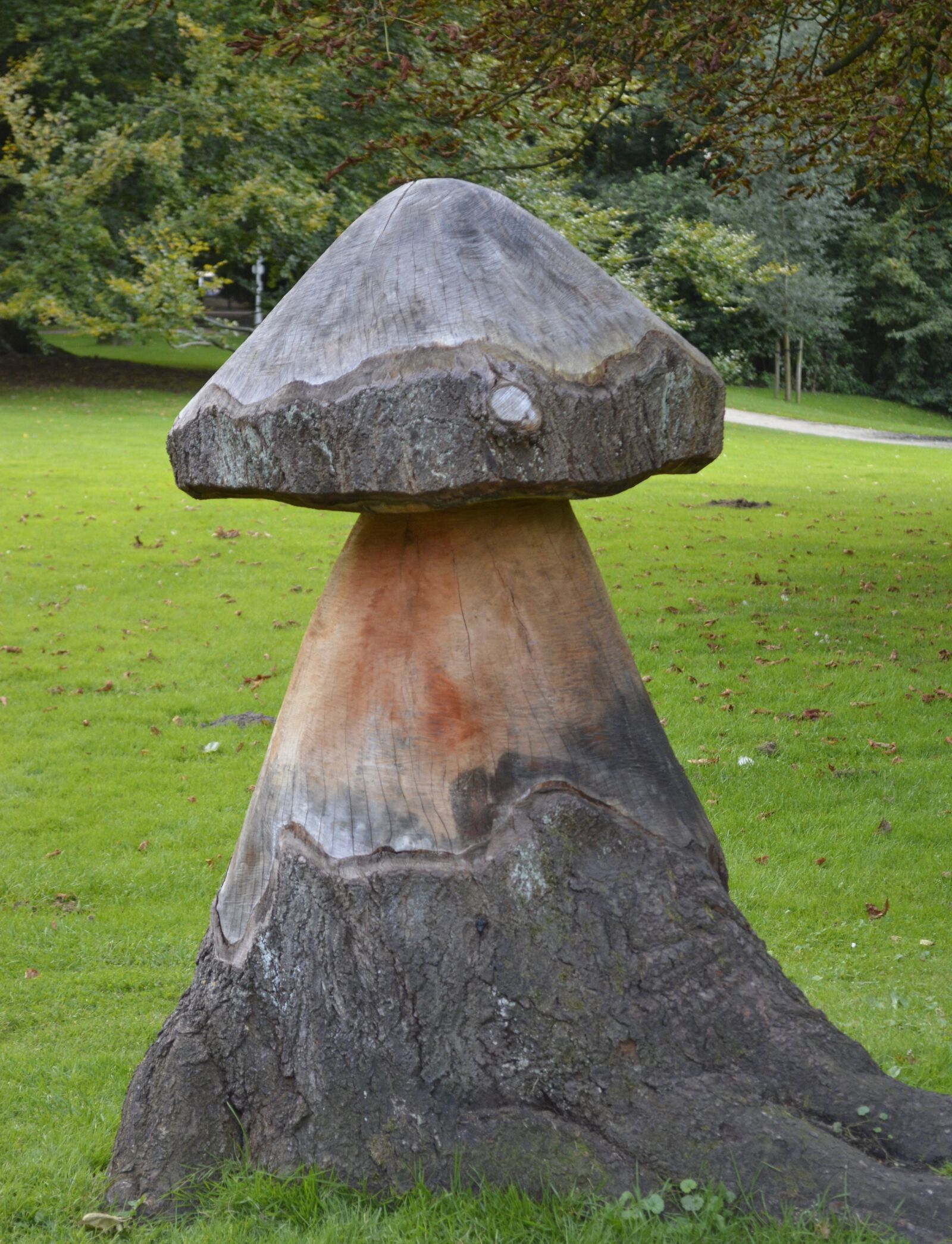 Nikon D5200 sample photo. Stump, mushroom, tree photography
