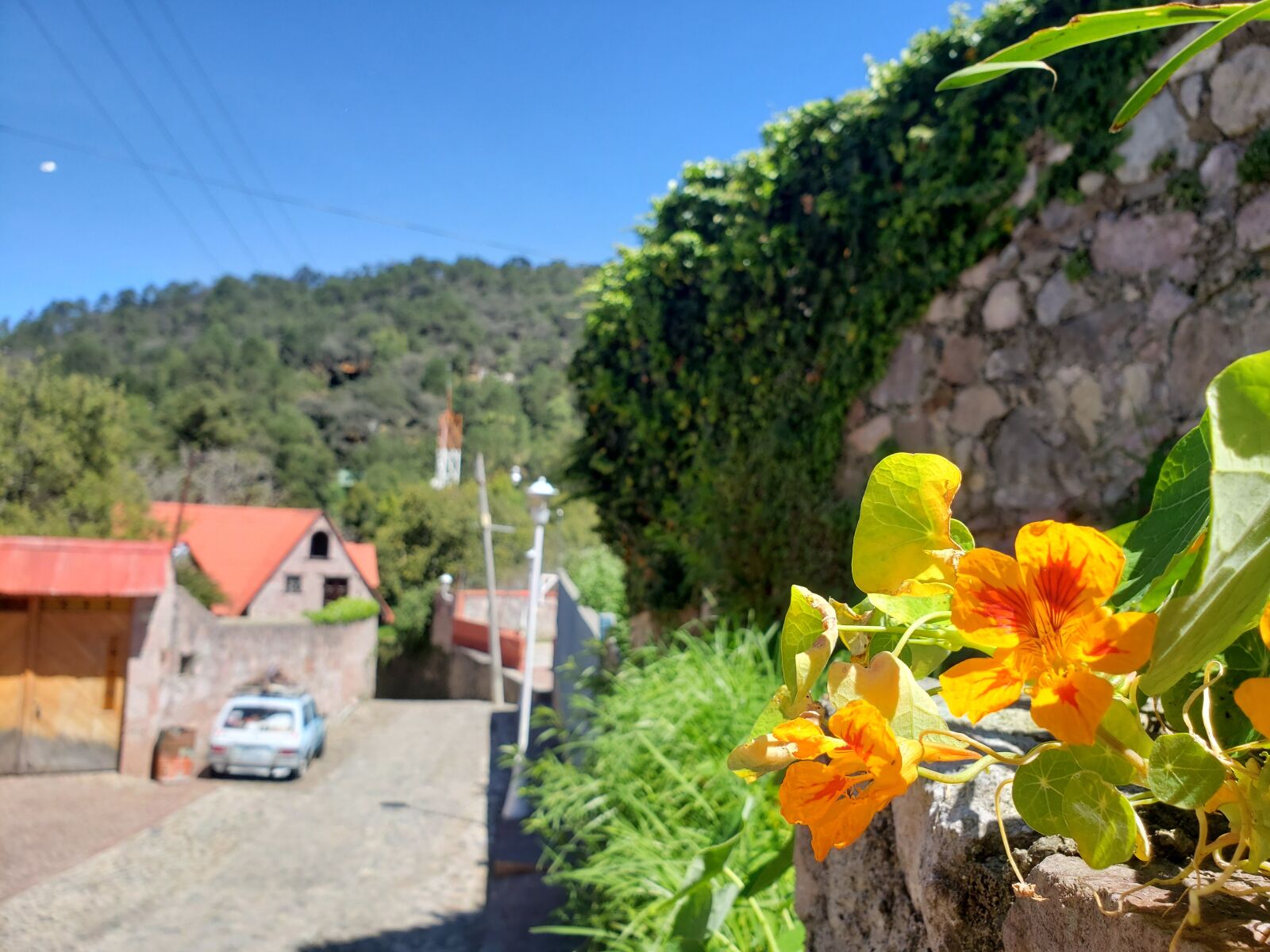 Samsung Galaxy Note9 sample photo. Nature, mountain, mountains photography