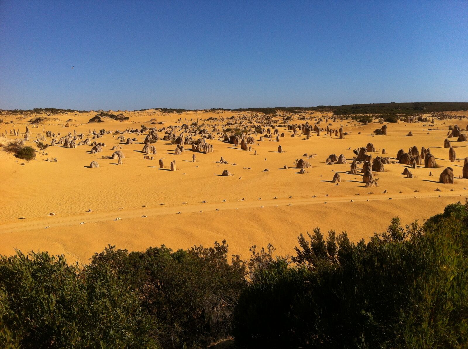 Apple iPhone 4 sample photo. Australia, pinnacles, nambung national photography