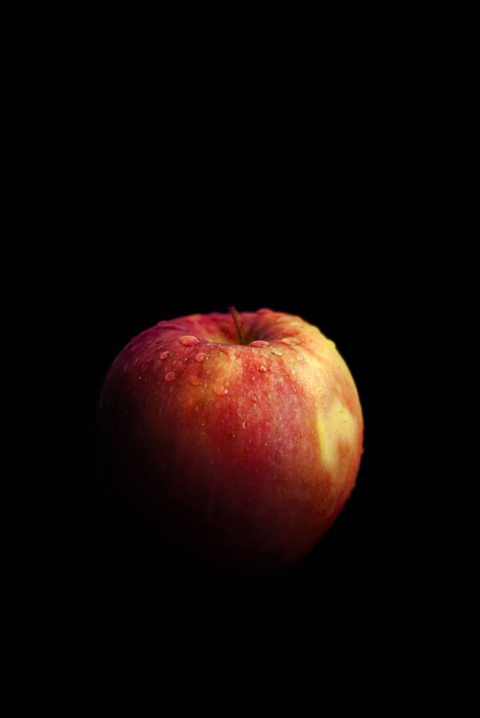 Nikon D80 sample photo. Apple, loner, s photography