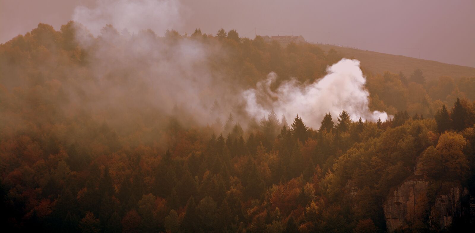 Nikon D7100 sample photo. Fire, forest, autumn photography