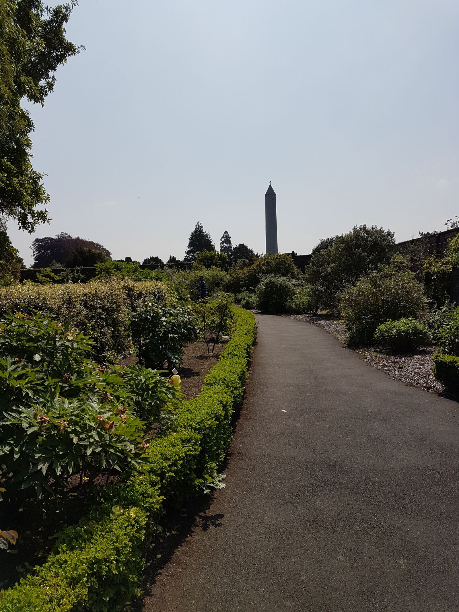 Samsung Galaxy S7 sample photo. Tower, dublin, botanical photography