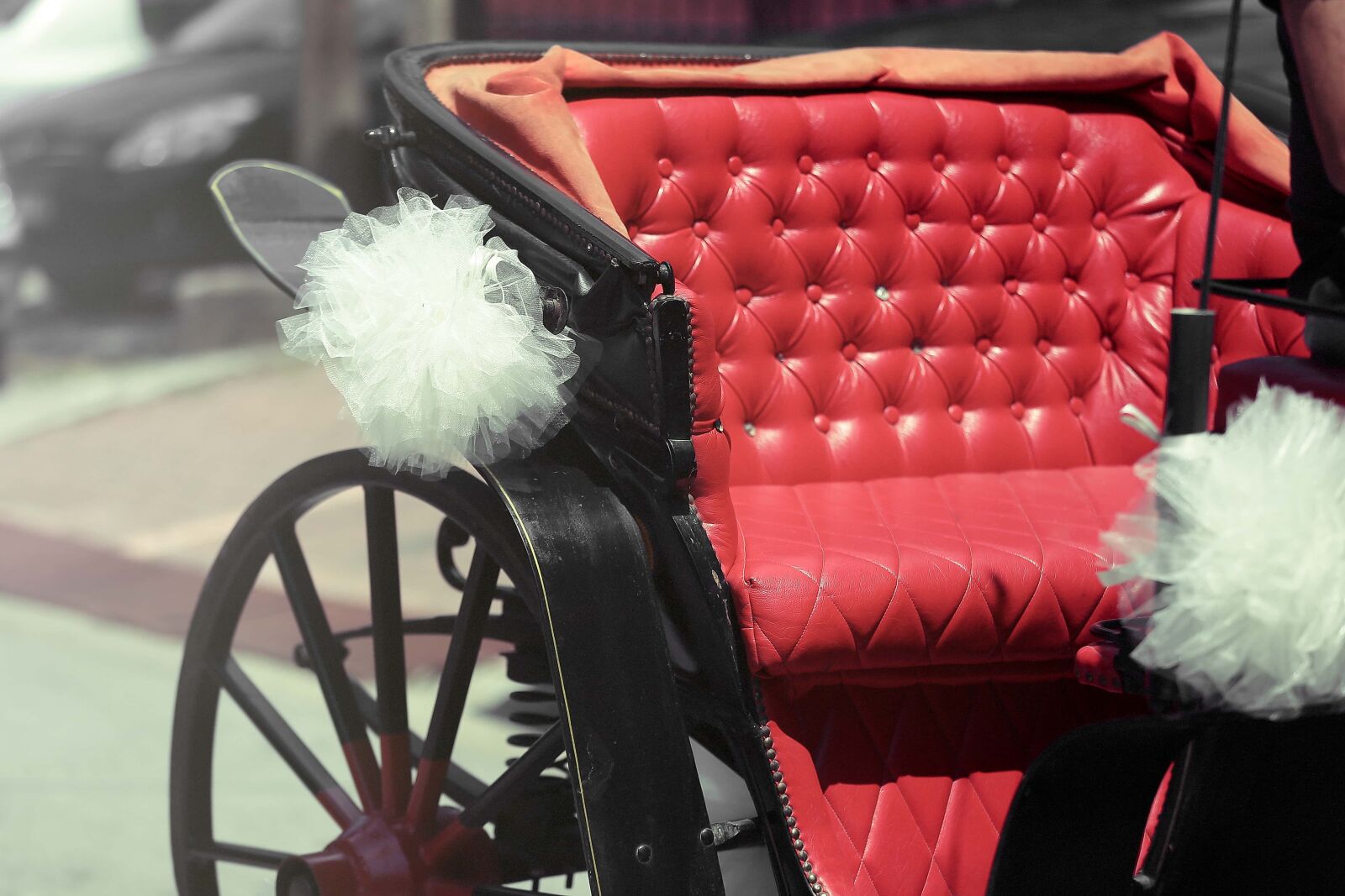 Canon EOS 5D Mark III sample photo. Carriage, elegance, old fashioned photography