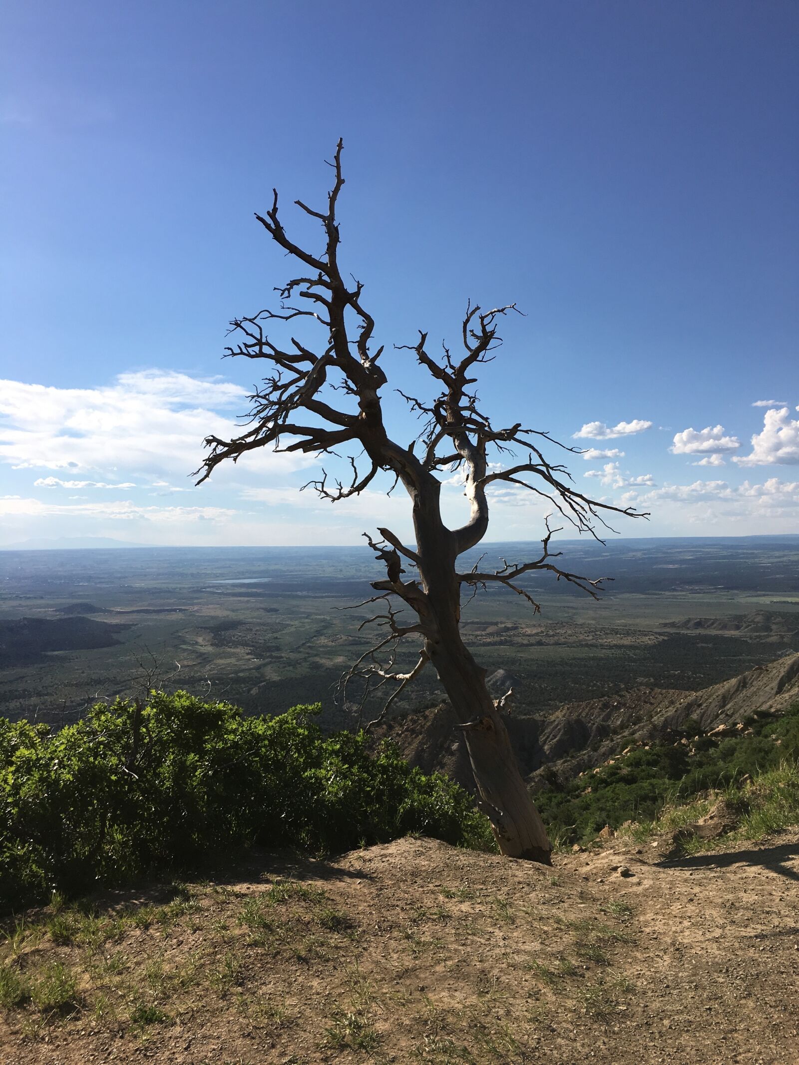 Apple iPhone 6s sample photo. Mesa verde, colorado, park photography
