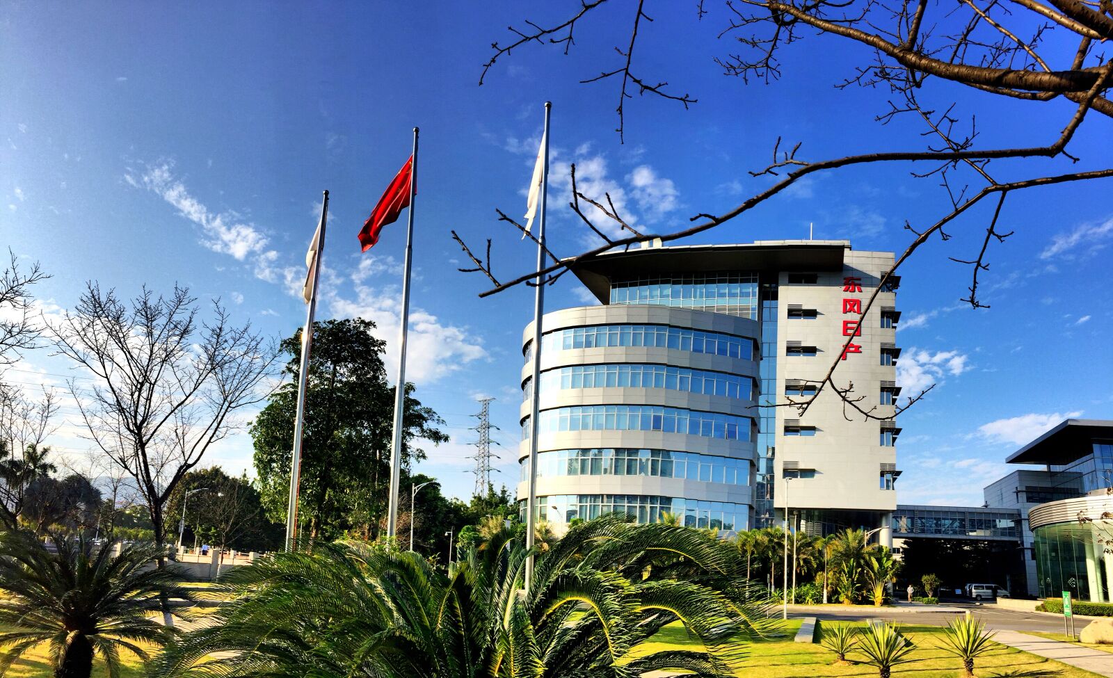 Apple iPhone 6 sample photo. Dongfeng nissan, blue sky photography