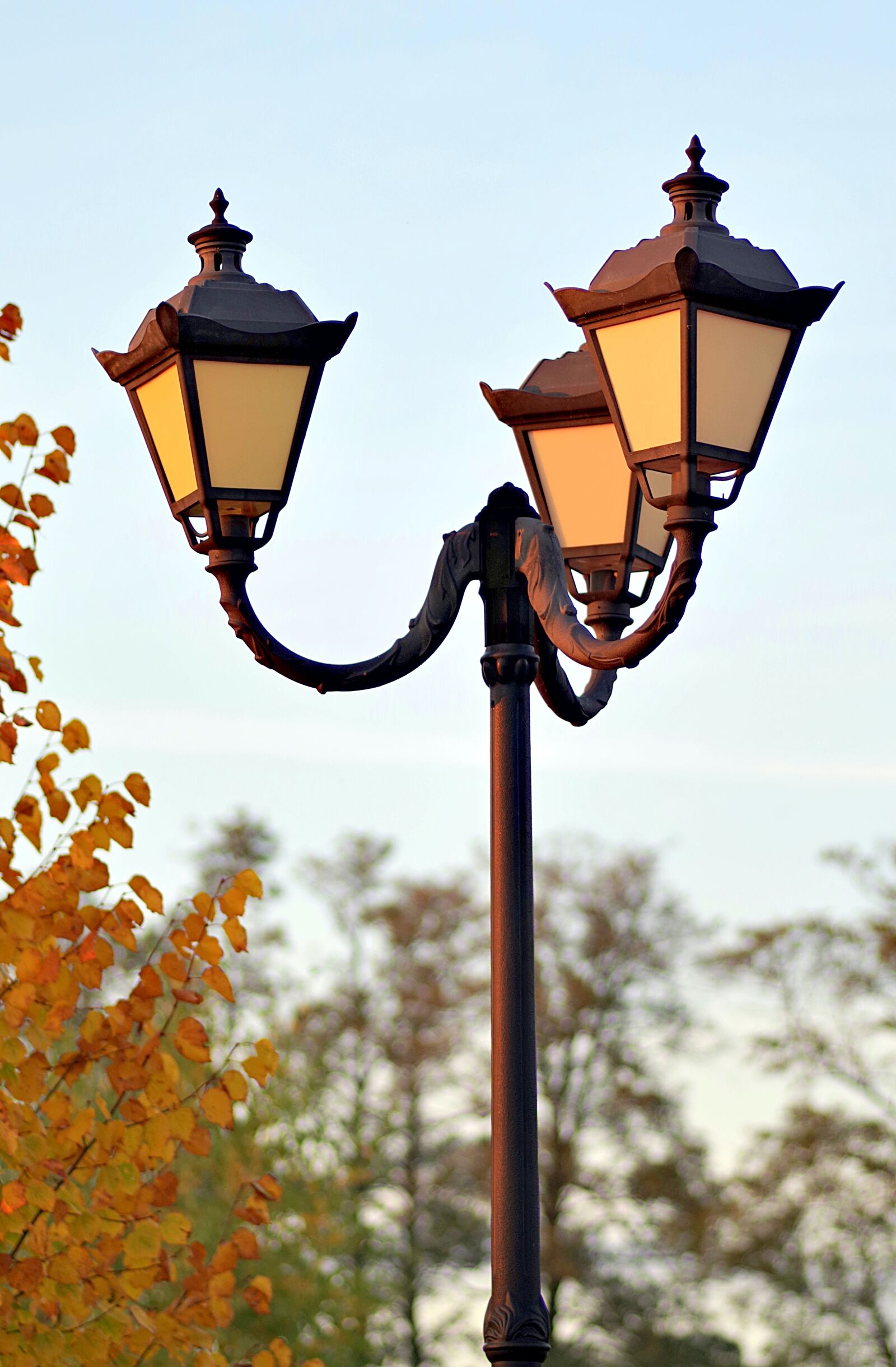 Pentax K-S2 sample photo. Lantern, park, replacement lamp photography