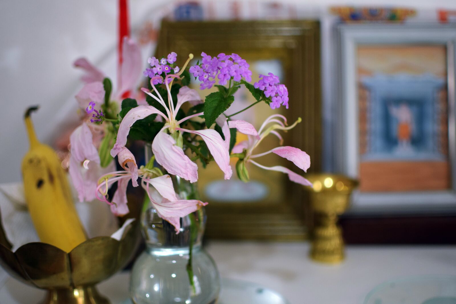 Nikon D5300 sample photo. Flower, herbs, medical photography