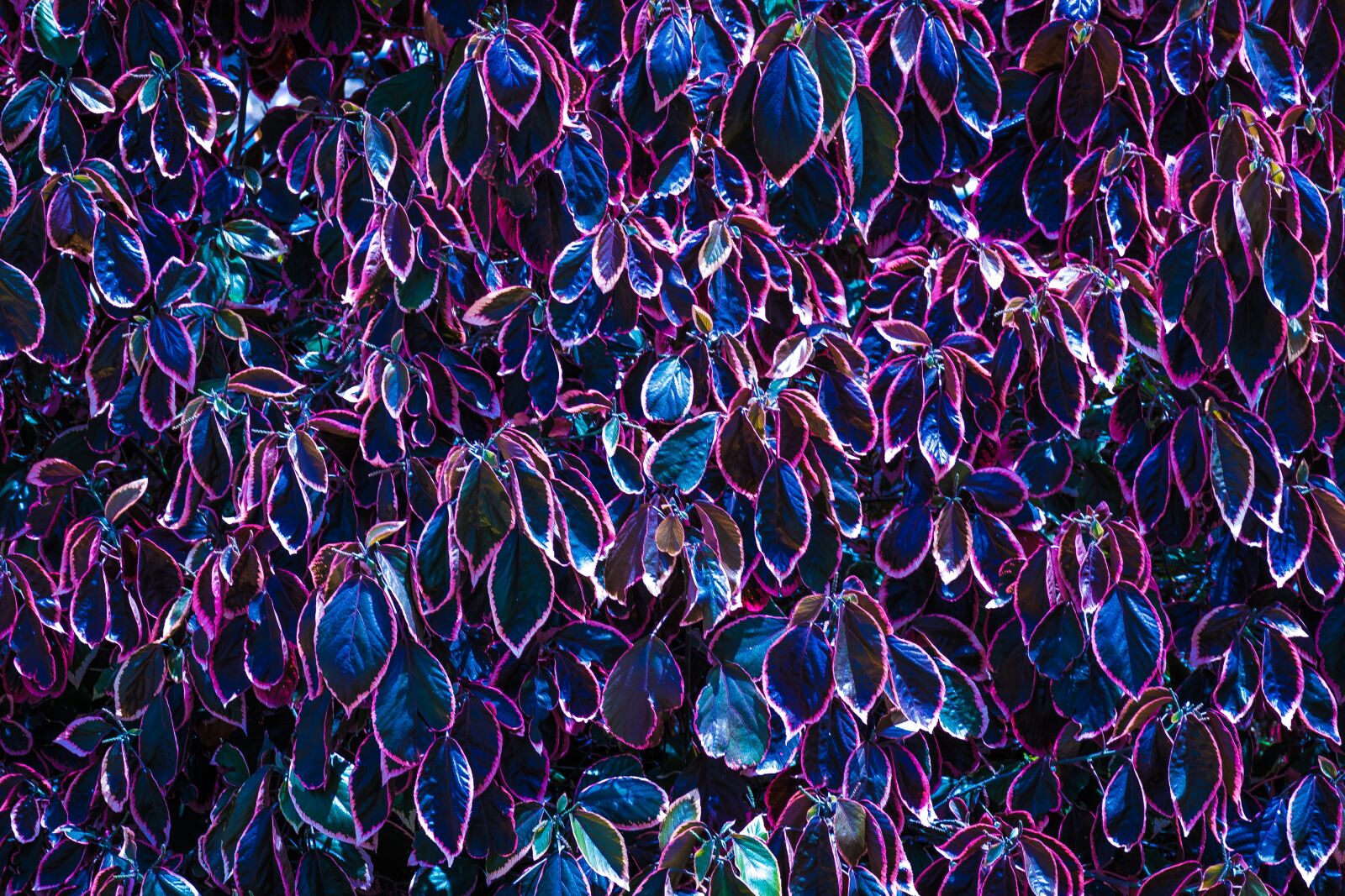 Nikon D5300 sample photo. Abstract, incomplete, gran canaria photography