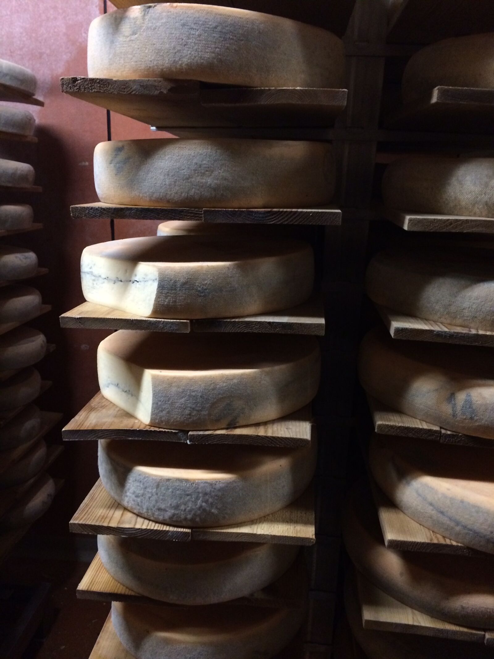 iPhone 5s back camera 4.12mm f/2.2 sample photo. Cheese, morbier, cave photography