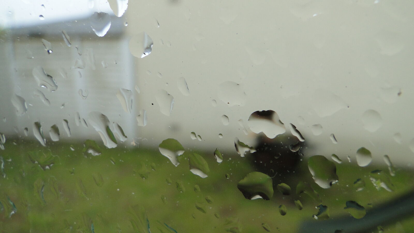 Sony Cyber-shot DSC-HX1 sample photo. After, the, rain, macro photography