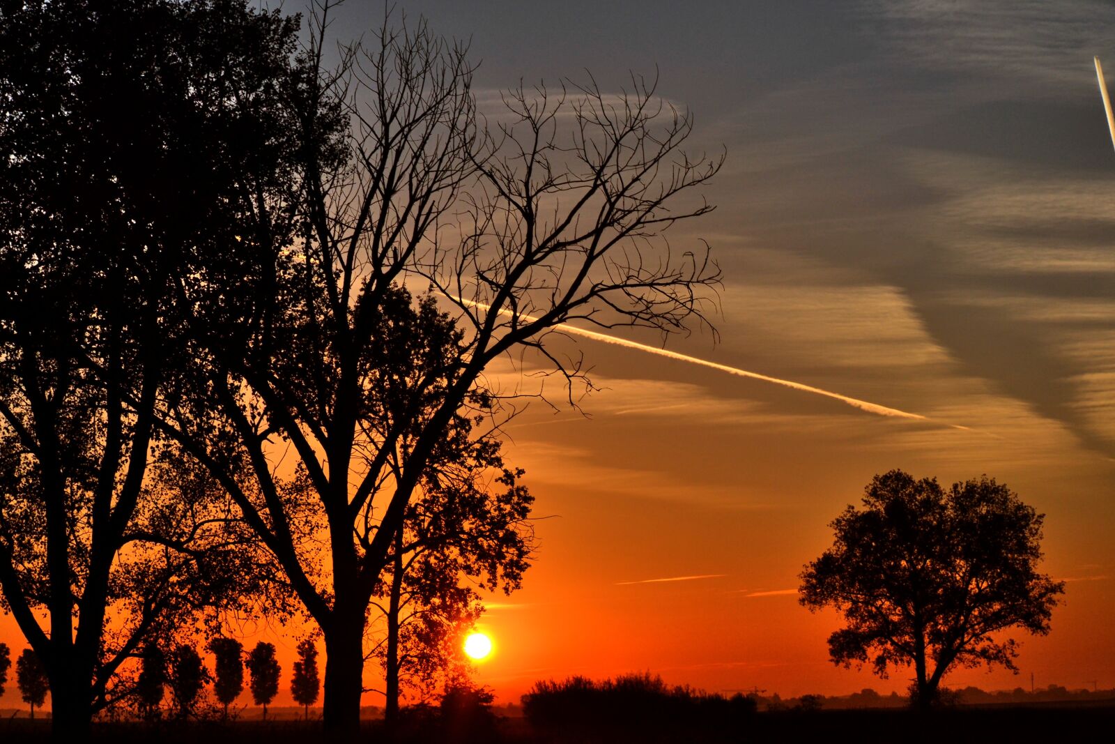 Nikon D3100 sample photo. Autumn, sunrise, mood photography