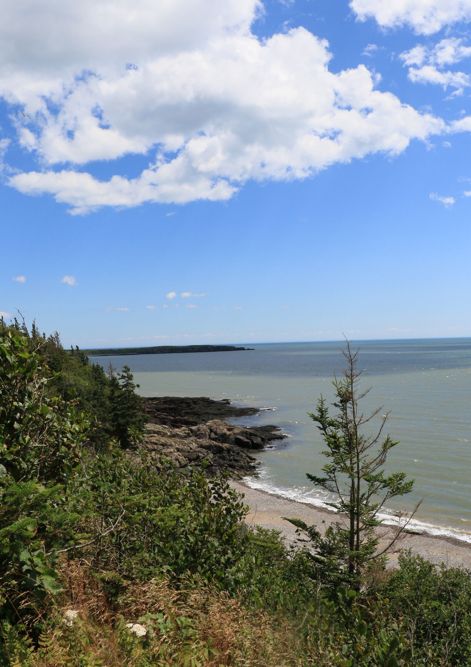 Canon EOS 7D Mark II sample photo. New brunswick, tourism, irving photography
