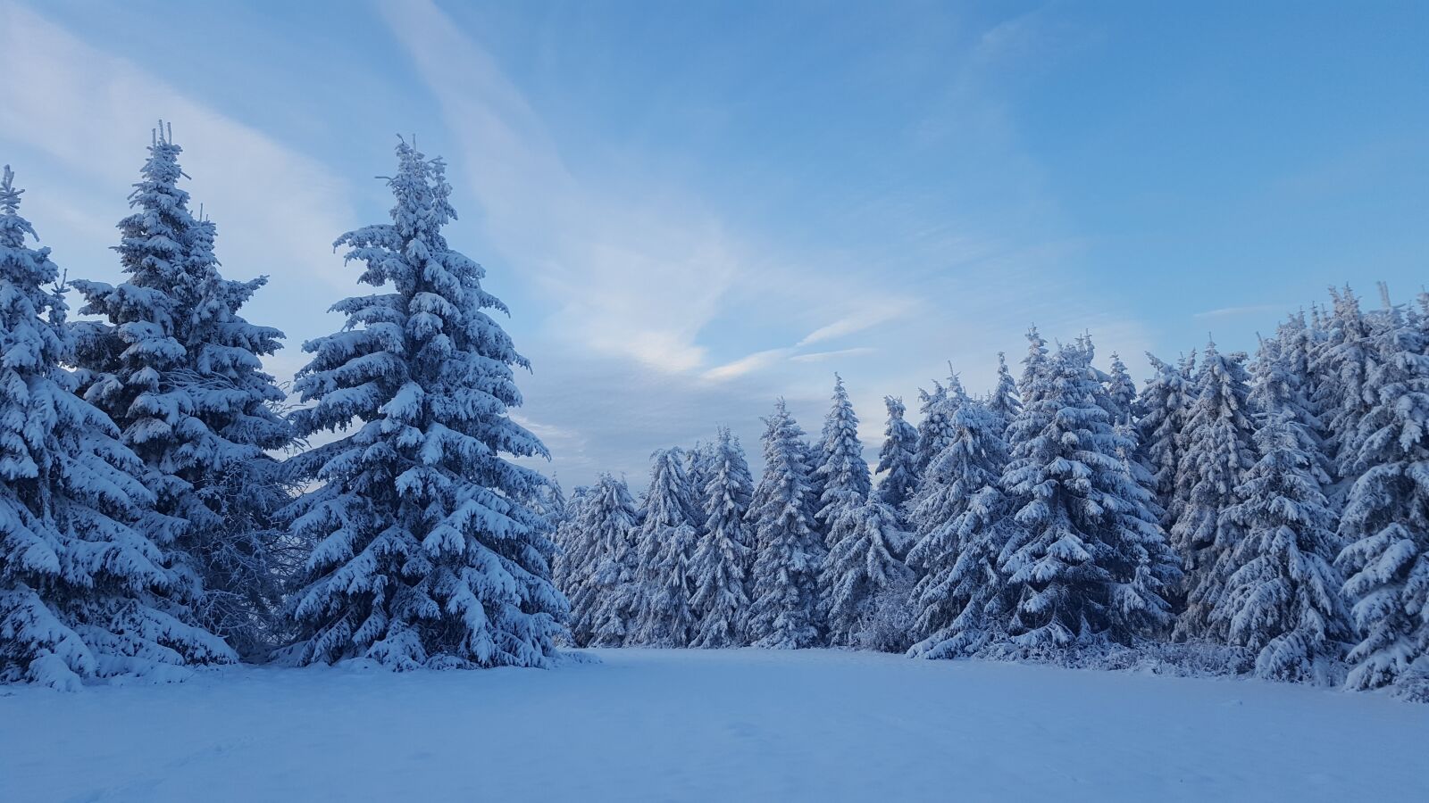 Samsung Galaxy S6 sample photo. Snow, winter, frost photography