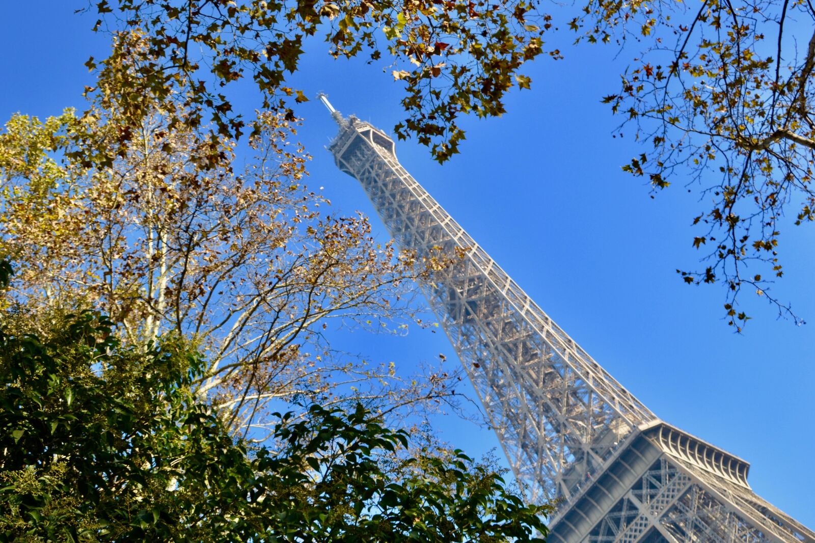 Nikon D5200 sample photo. Eiffel tower, eiffel tower photography