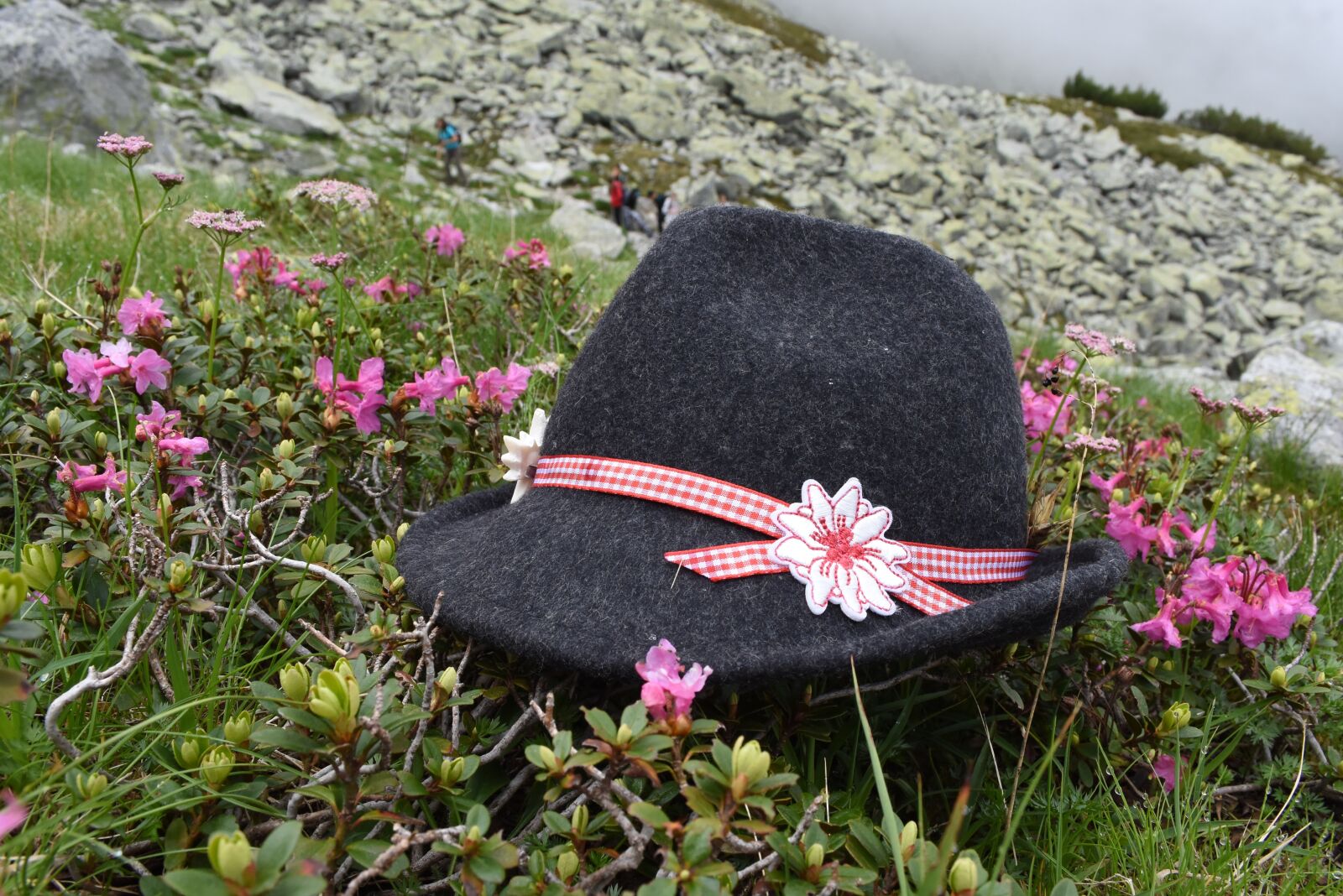 Nikon D7200 sample photo. Tirol, hat, rhododendron photography