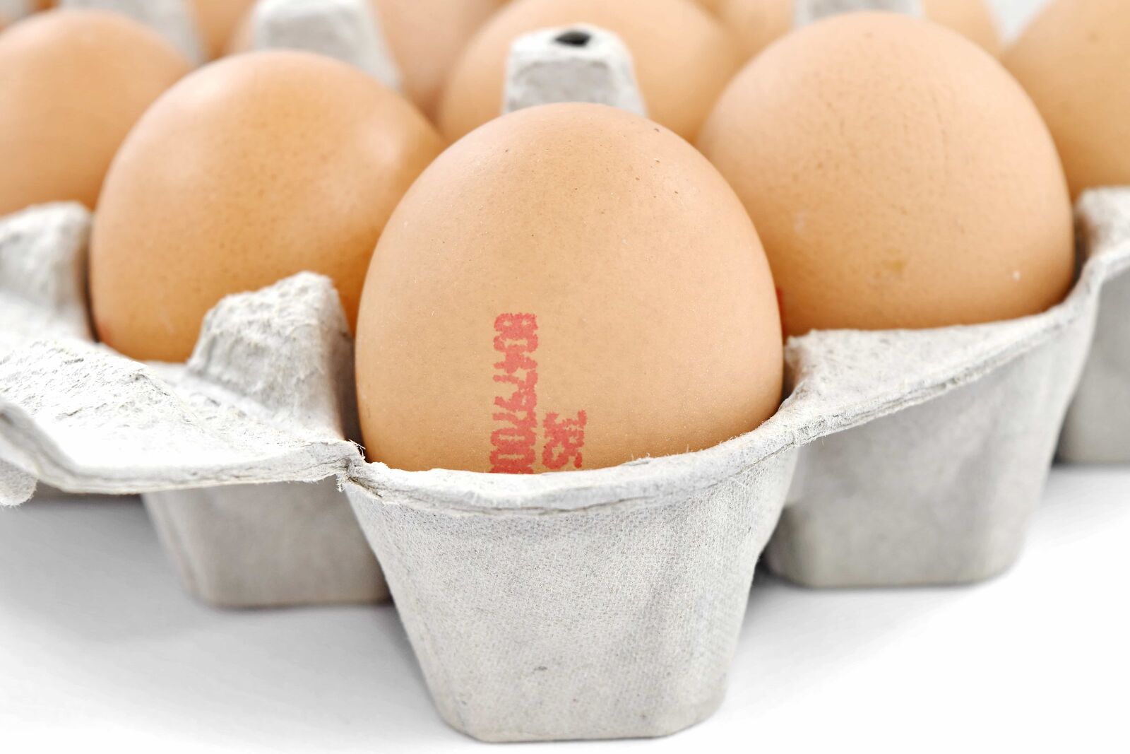 Nikon D5500 sample photo. Cardboard, carton, egg, egg photography