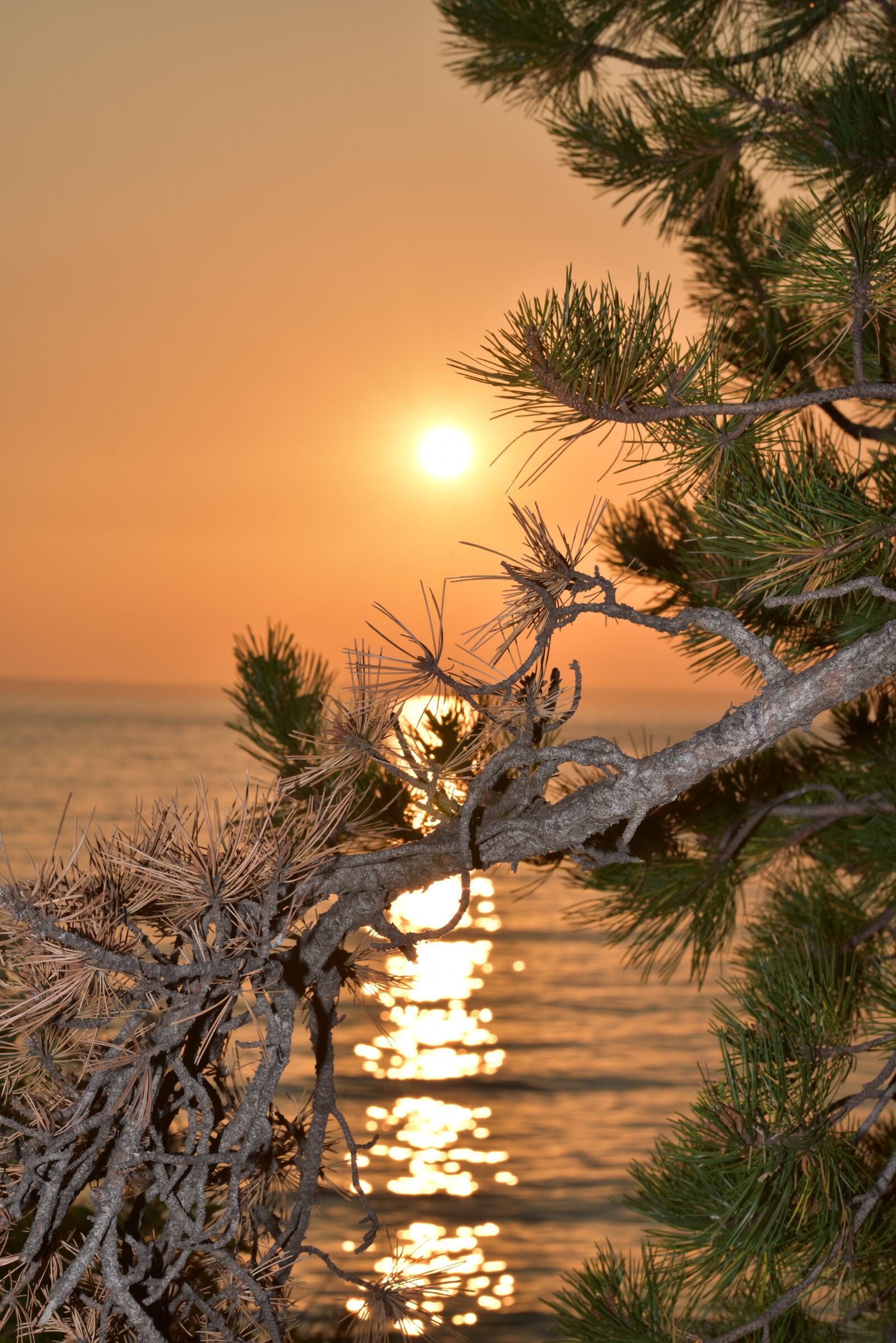Nikon D750 sample photo. Sunset, sea, evening sky photography