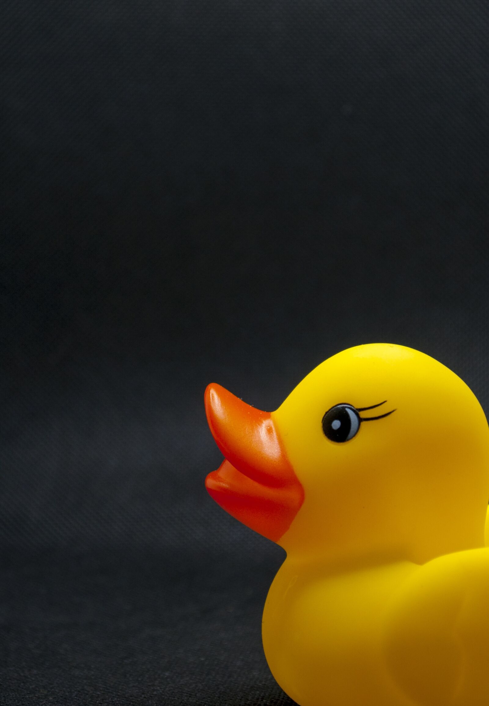 Nikon D90 sample photo. Duck, toy, bath photography