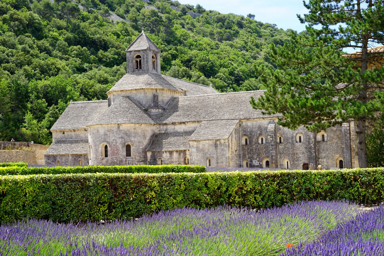 Sony a7 + Sony Sonnar T* FE 55mm F1.8 ZA sample photo. Abbaye de s nanque photography