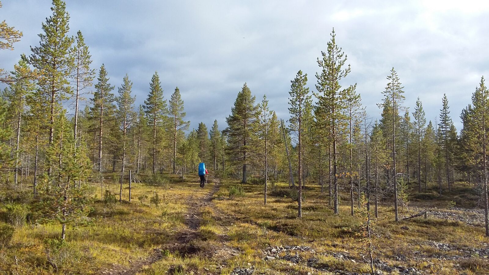 Samsung Galaxy A3 sample photo. Finland, lapland, hiking photography