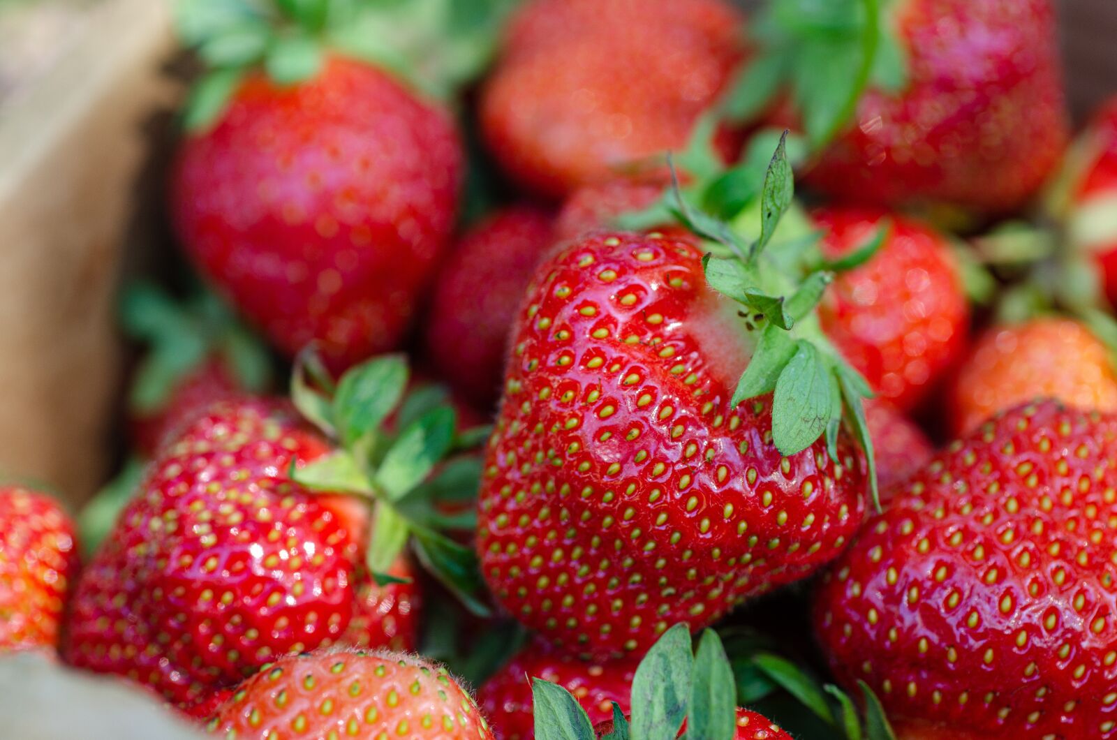 Nikon D7000 sample photo. Strawberries, basket, sweet photography