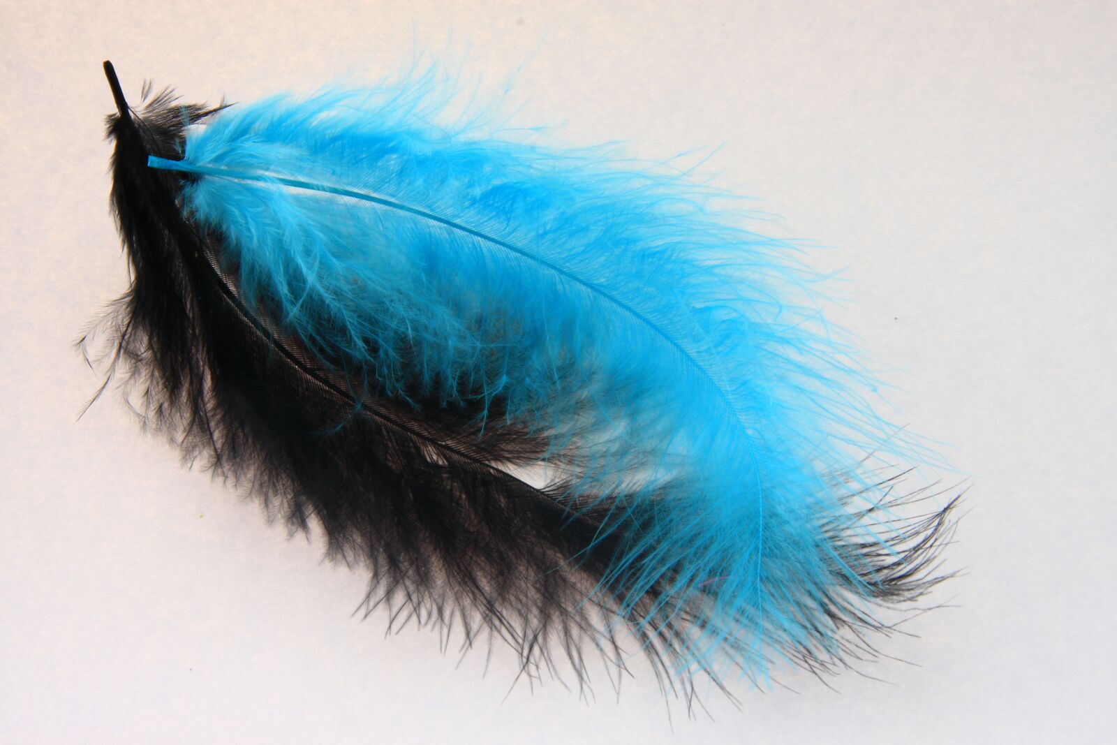 Canon EOS 40D sample photo. Feather, black, blue photography