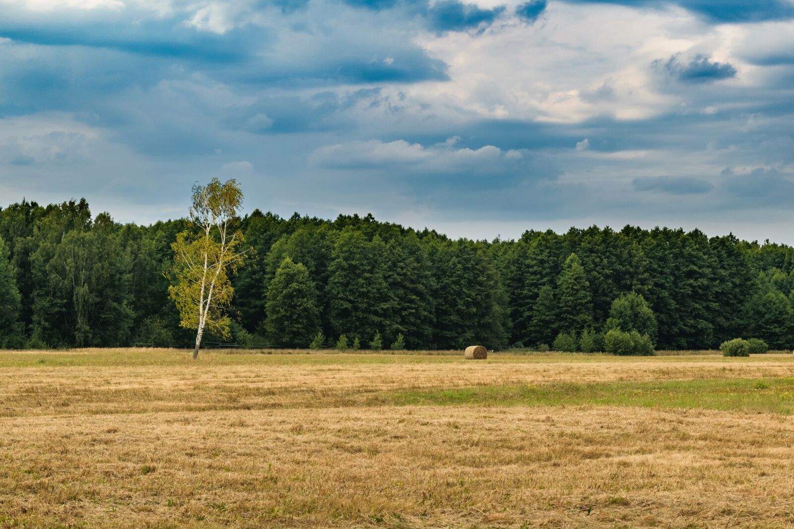 Nikon D5300 sample photo. Landscape, clouds, dark photography