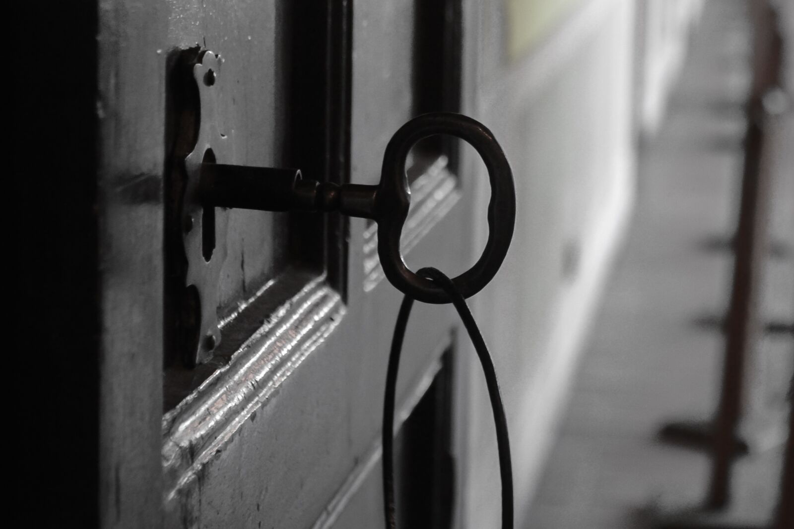 Nikon D3100 sample photo. Old, door, texture photography