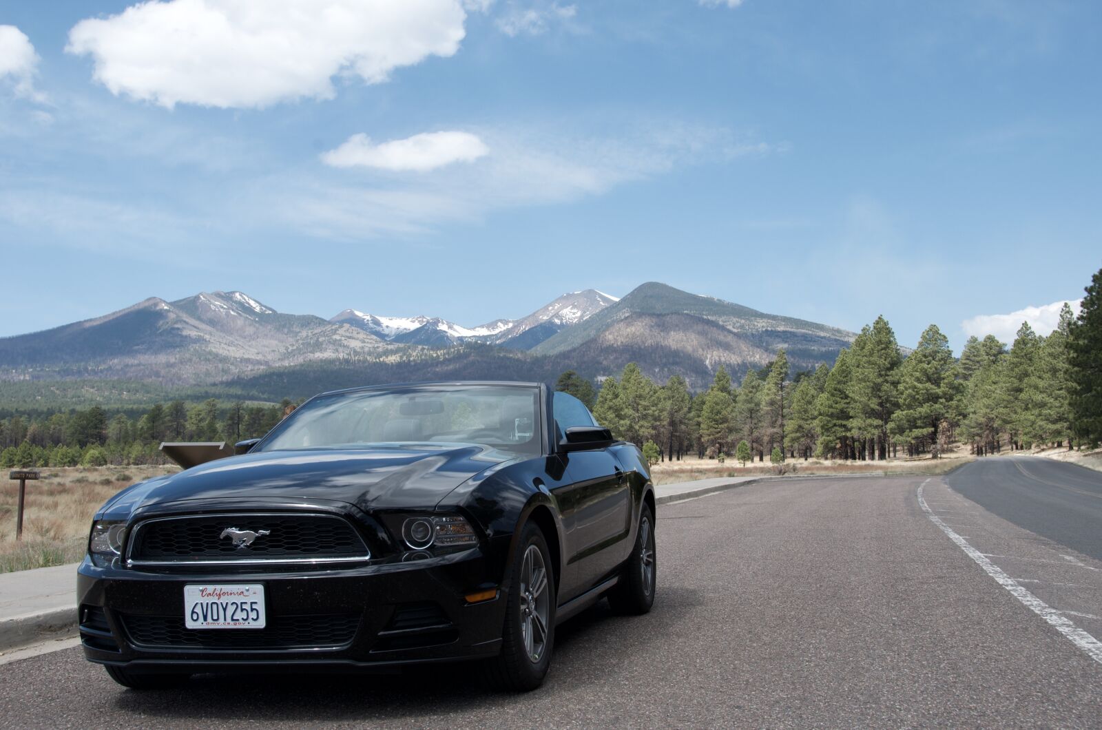 Nikon D7000 sample photo. Ford mustang, america, road photography