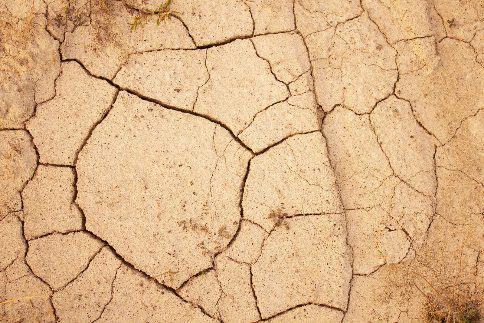 Canon EOS 550D (EOS Rebel T2i / EOS Kiss X4) sample photo. Soil, earth, sand photography