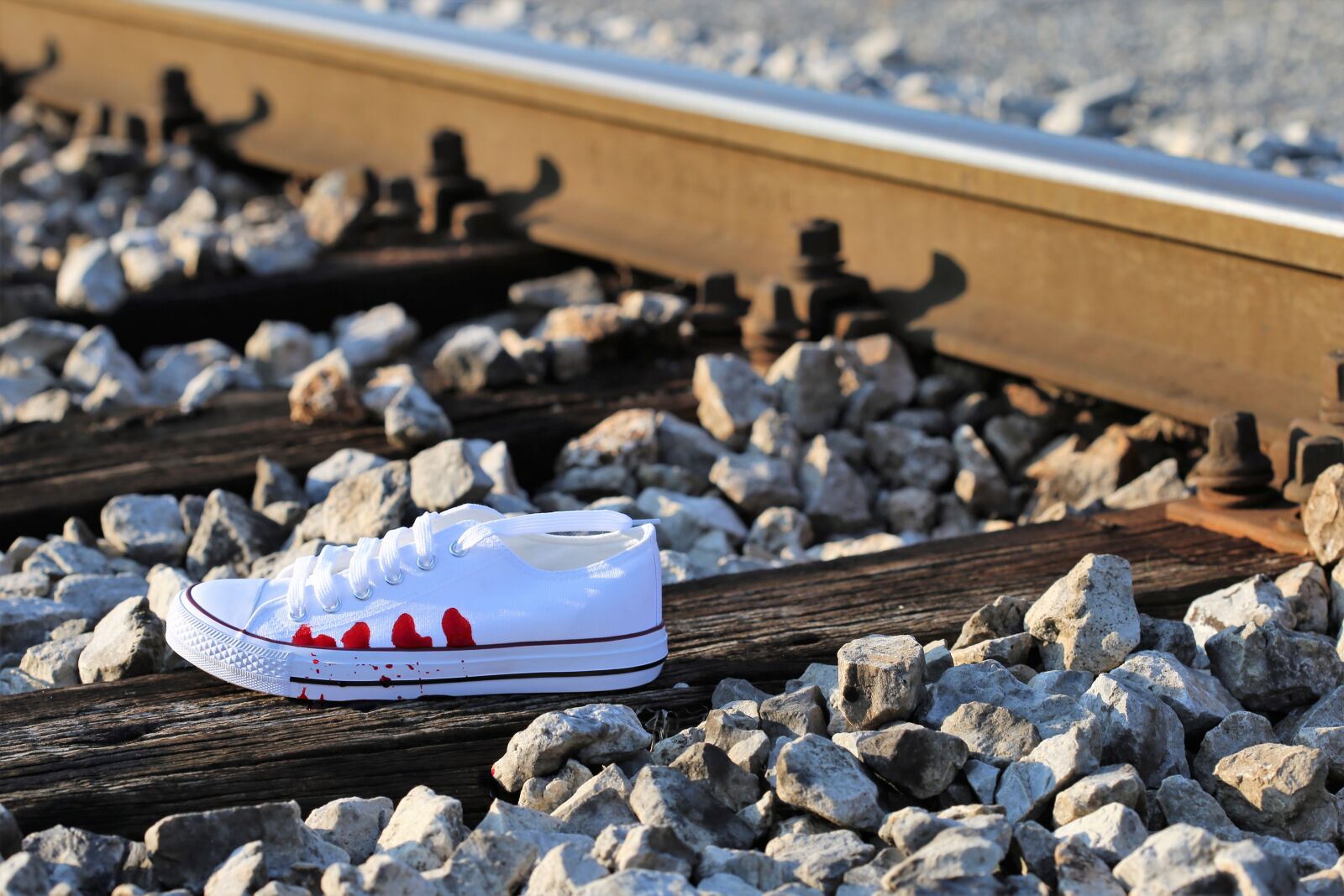 Canon EOS 6D + Canon EF 100mm F2.8 Macro USM sample photo. Stop teenager suicide, bloody photography