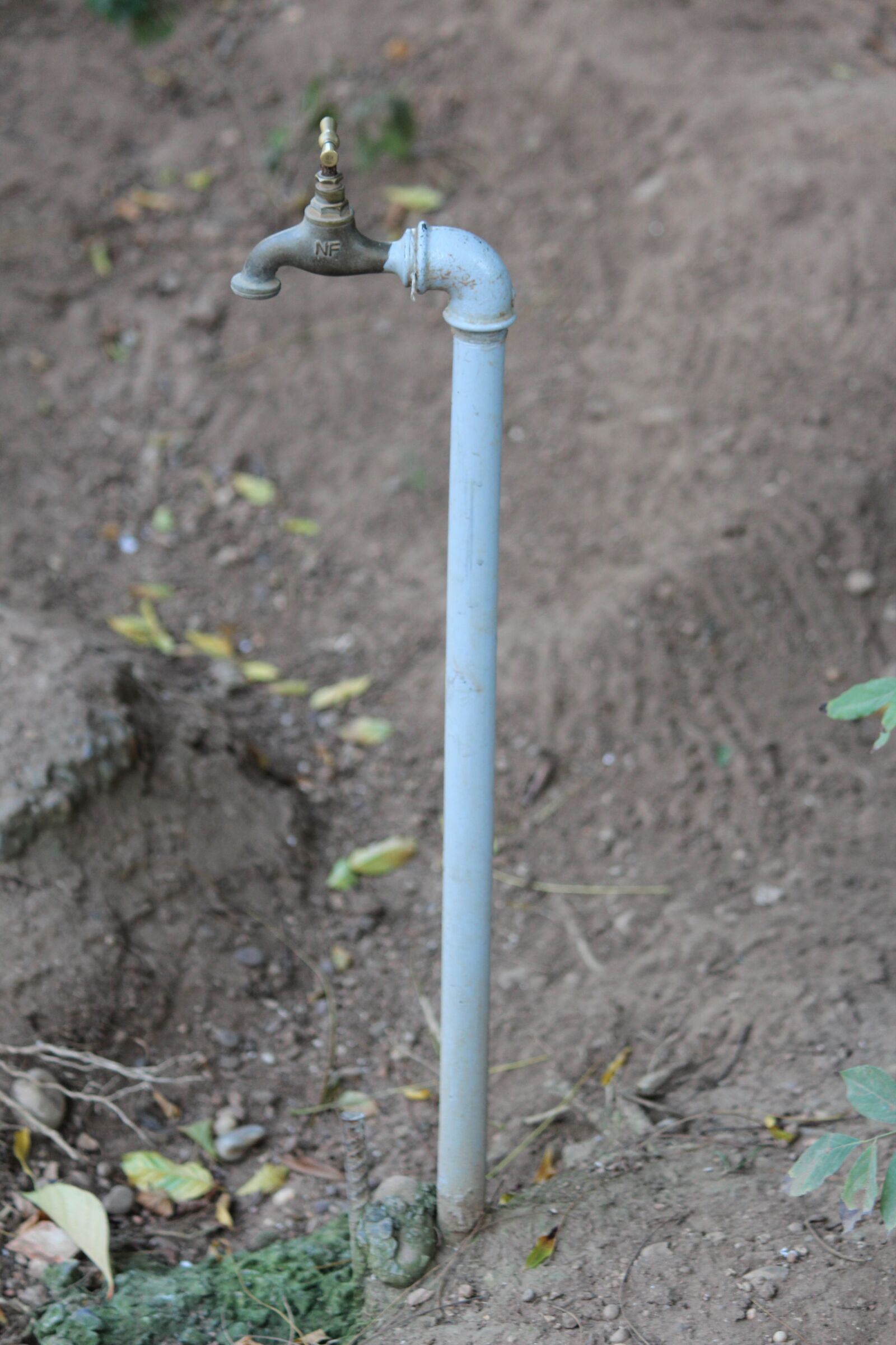 Canon EOS 600D (Rebel EOS T3i / EOS Kiss X5) sample photo. Water, faucet, nature photography