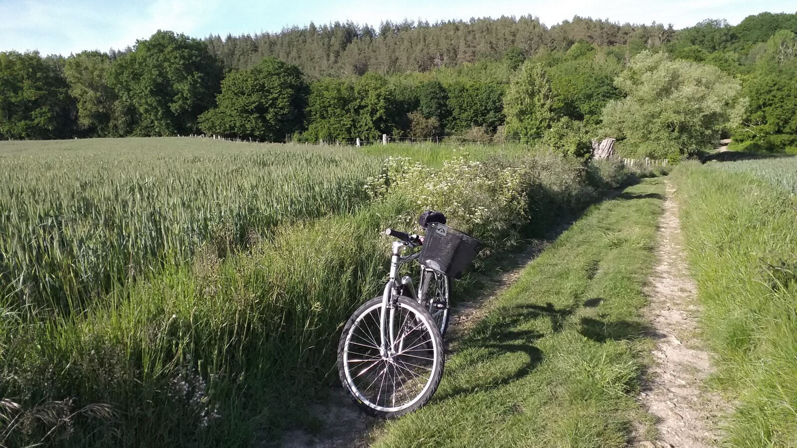 Samsung Galaxy J6+ sample photo. Bike, field, cycle photography