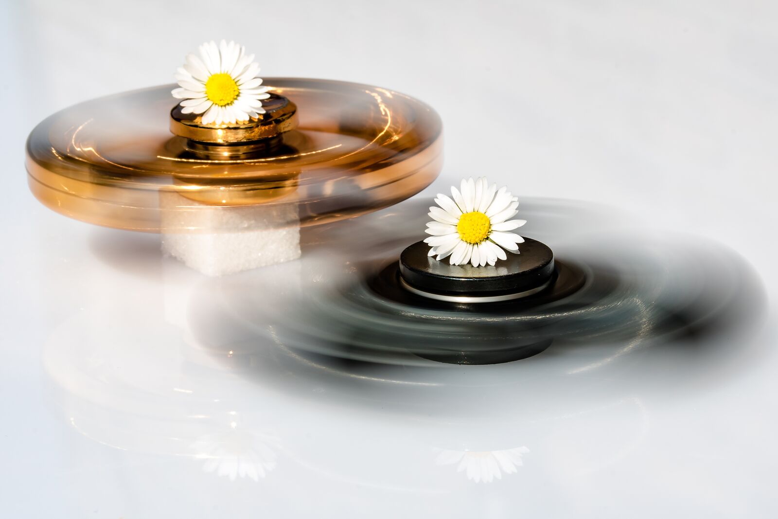 Canon EF-S 60mm F2.8 Macro USM sample photo. Fidget spinner, various fidget photography