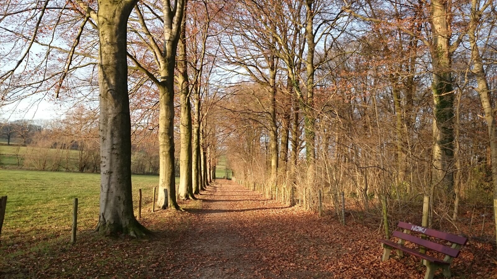 Sony Xperia Z2 sample photo. Landscape, nature, south limburg photography