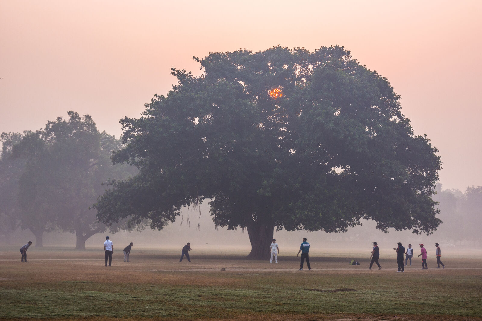 Nikon D5200 sample photo. Early, morning, morning, morning photography