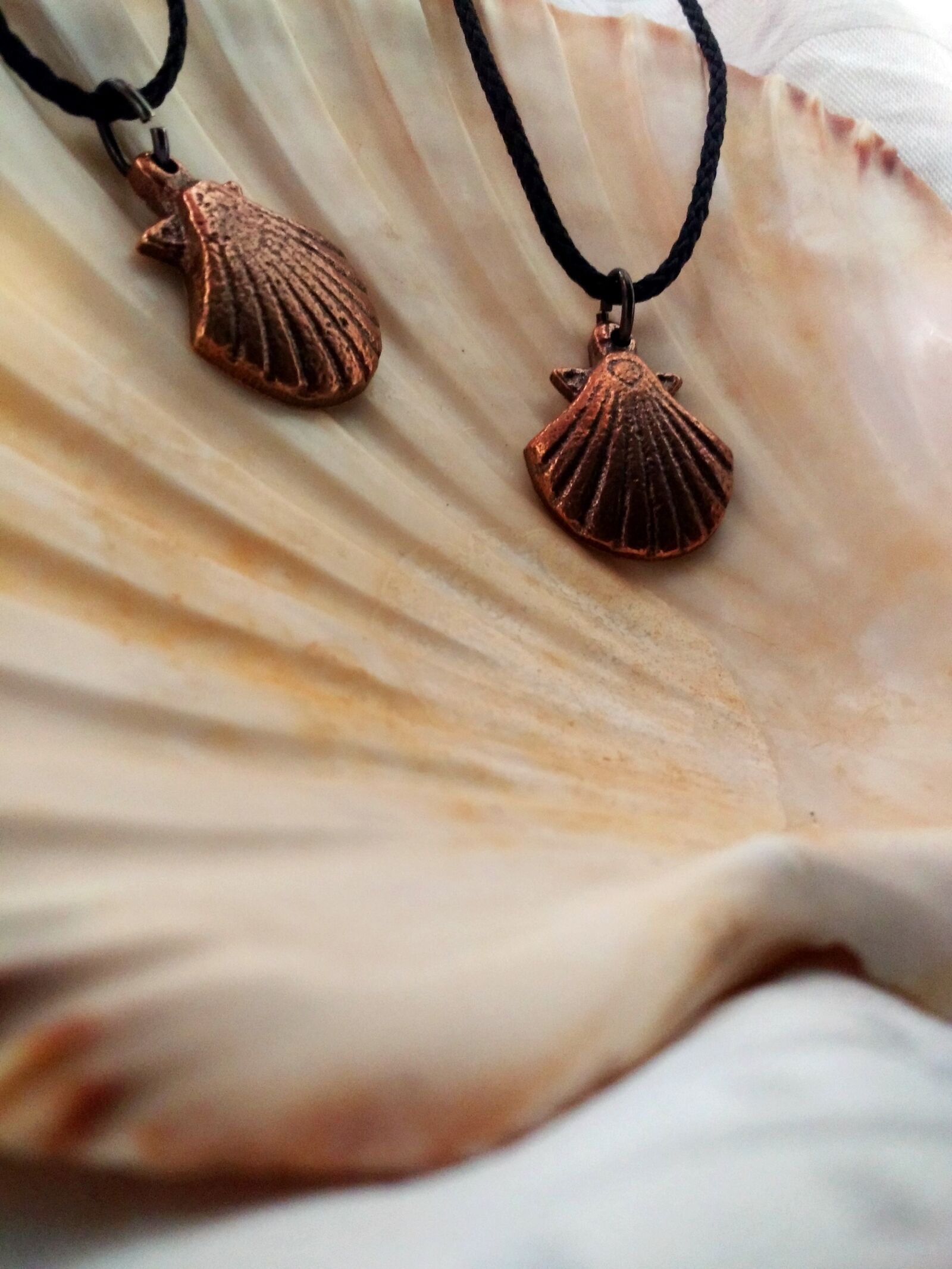 Motorola Moto G (4) sample photo. Scallops, pilgrimage, make a photography