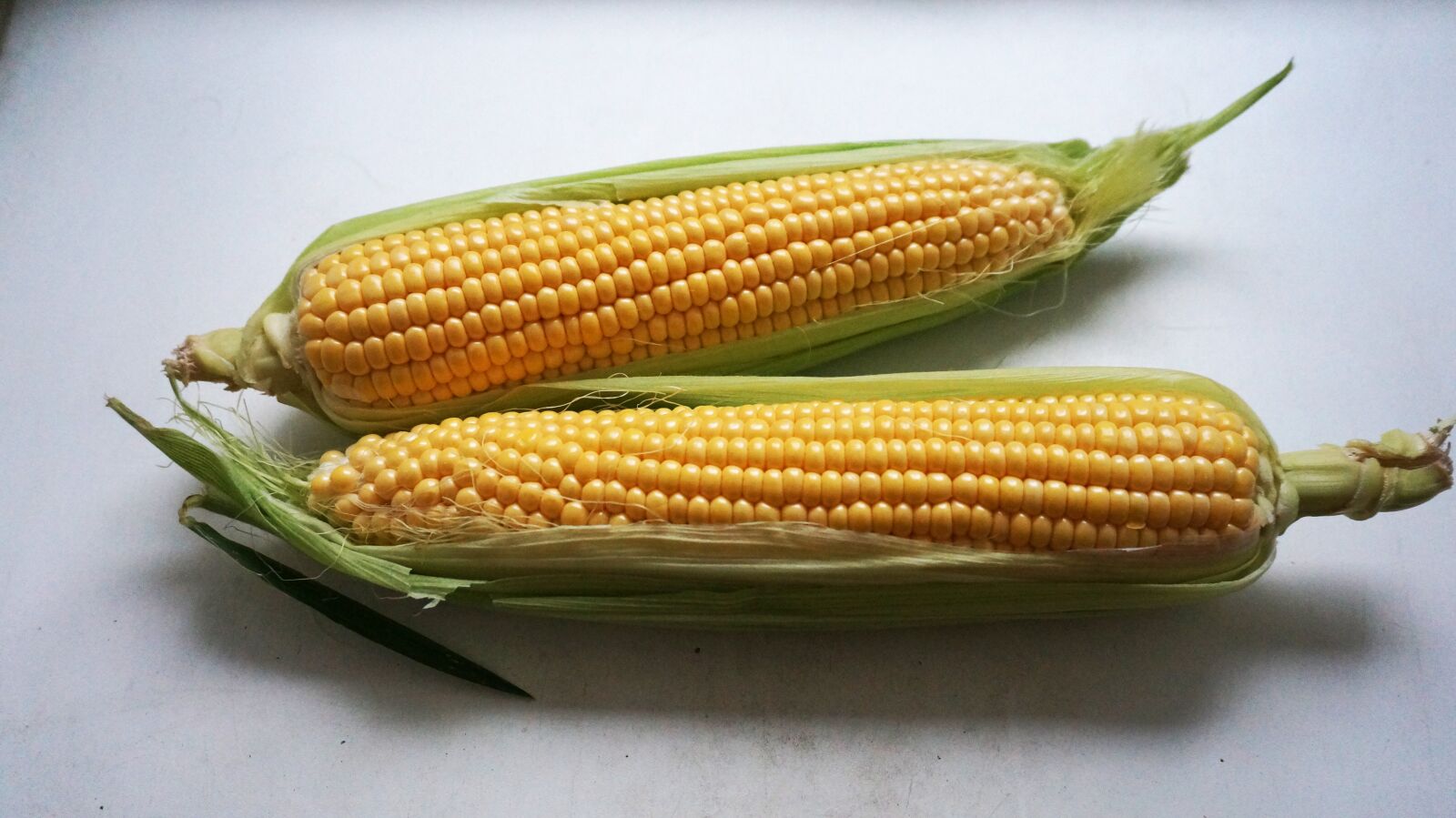 Sony Alpha NEX-5T + Sony E 16-50mm F3.5-5.6 PZ OSS sample photo. Ear of corn, leaves photography