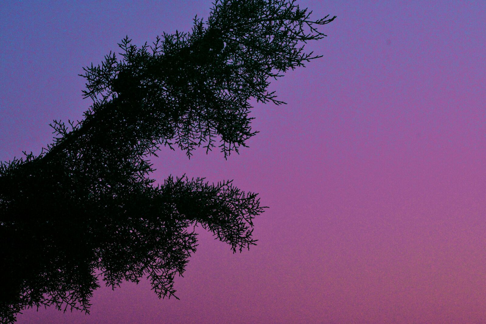 Nikon D3100 sample photo. Turkey, bursa, nilufer photography