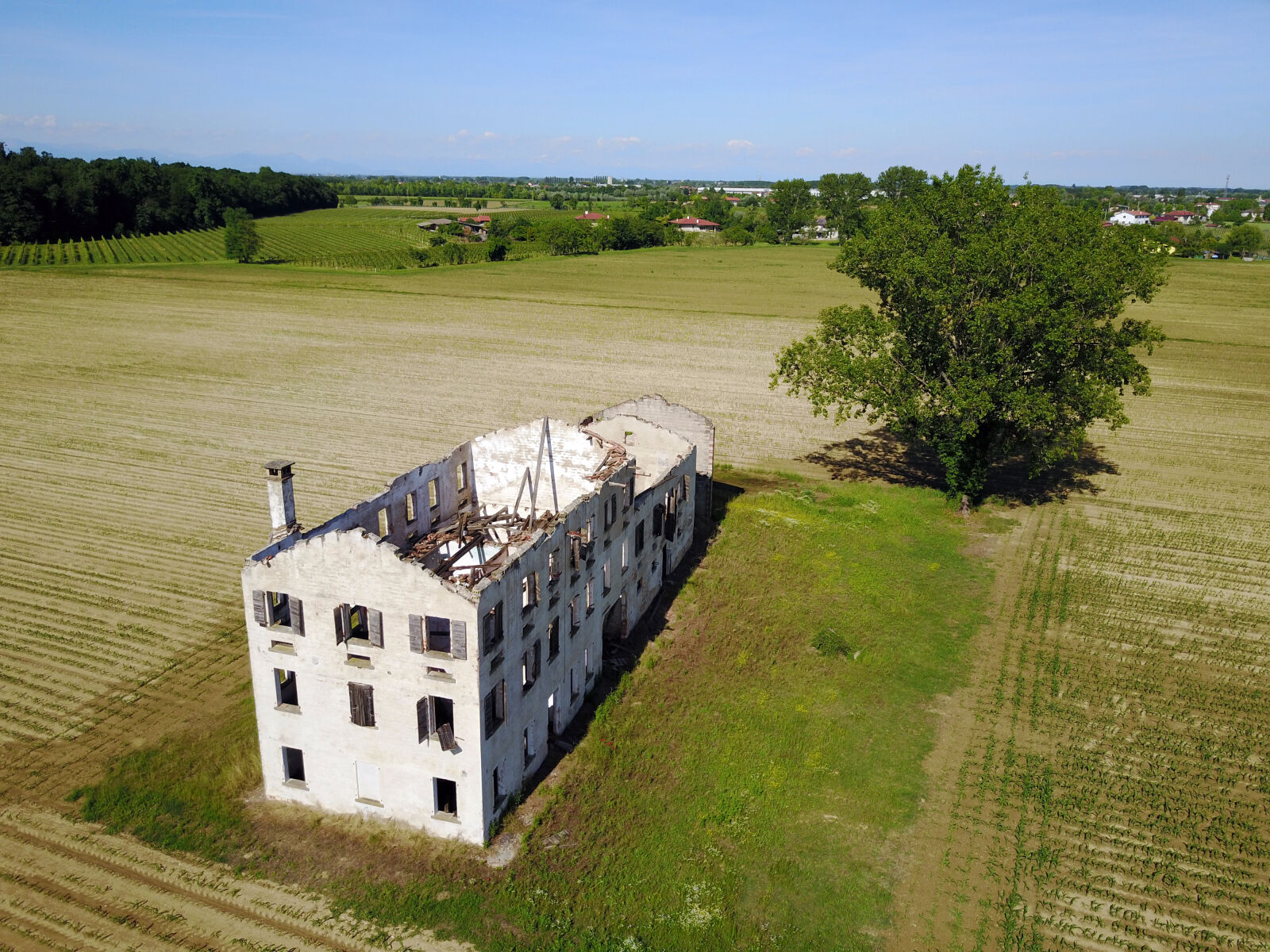 DJI FC220 sample photo. Abandoned, abbandonata, albero, campagna photography
