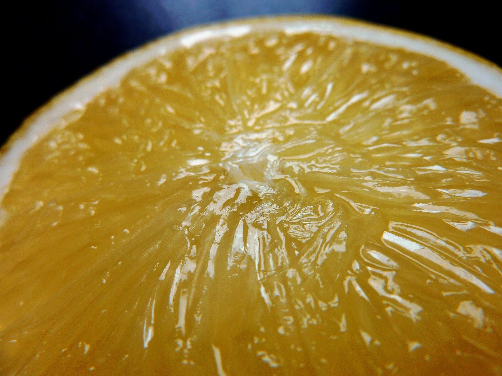 Panasonic DMC-TZ7 sample photo. Defense force, c, citrus photography