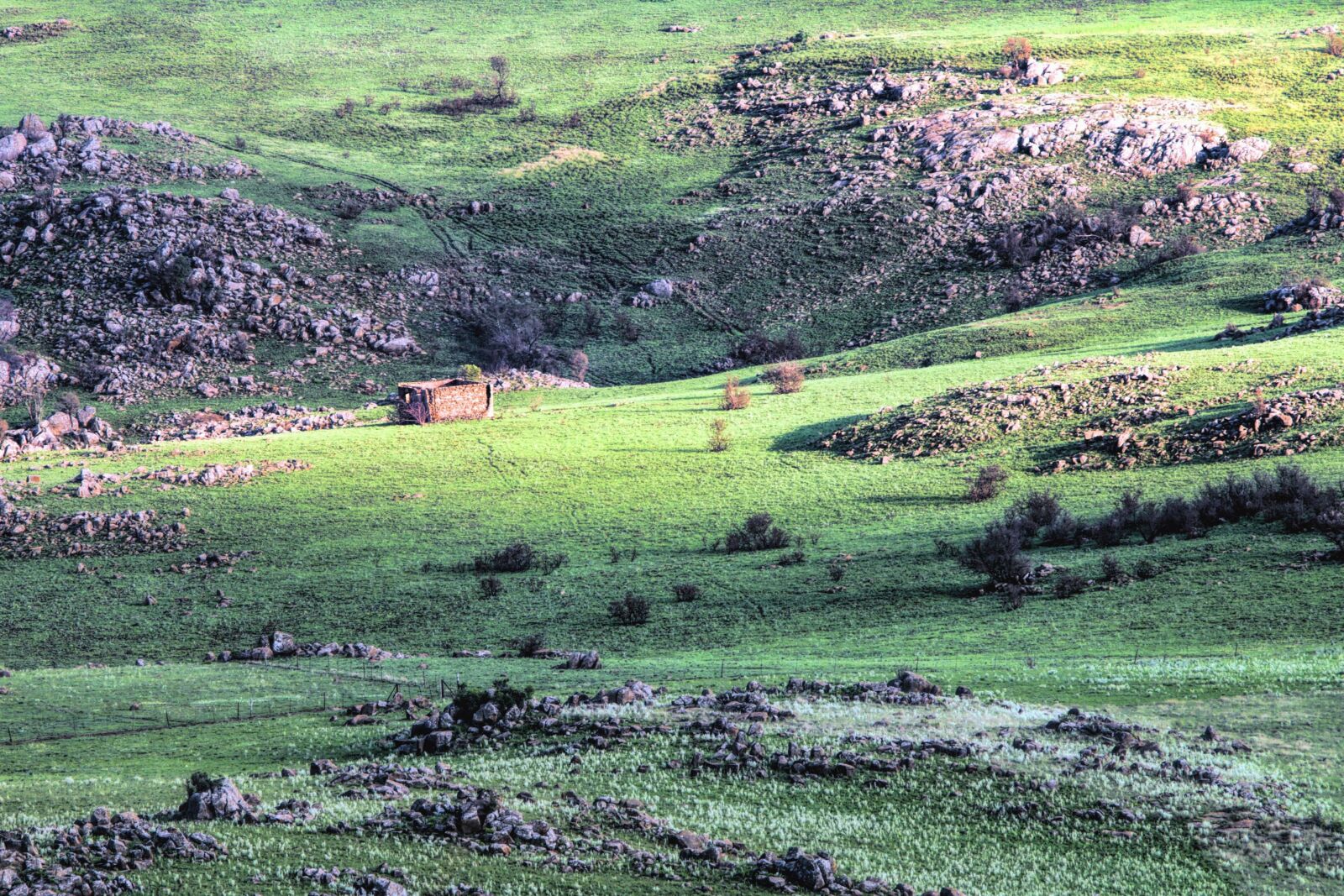 Canon EOS 70D sample photo. Land, landscape, grass, field photography