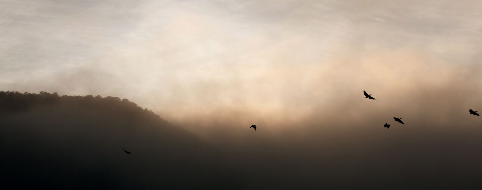 Canon EOS 5D Mark II sample photo. Sky, sunset, fog photography